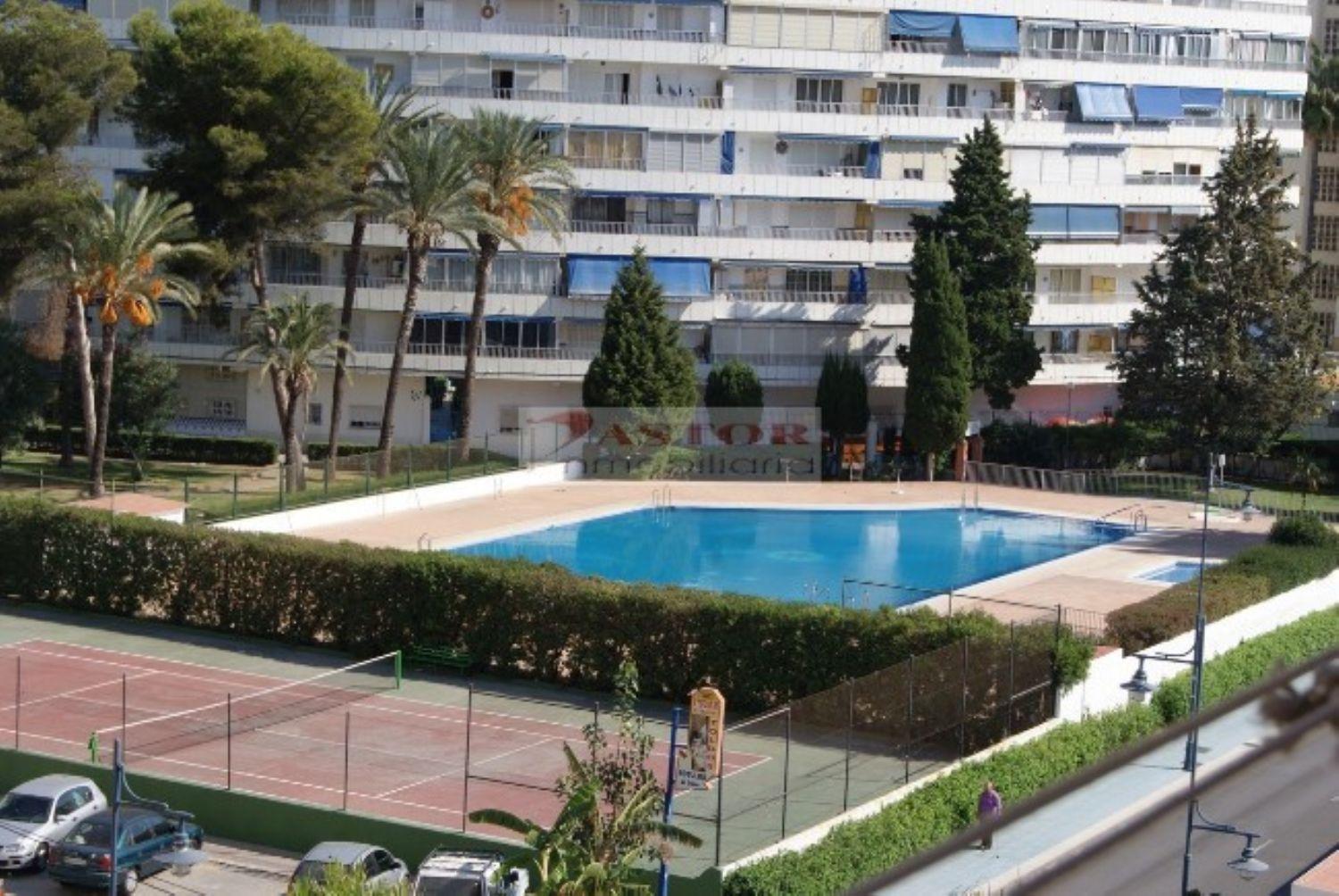 PISO  DE  CORTA TEMPORADA. 490 € /MES