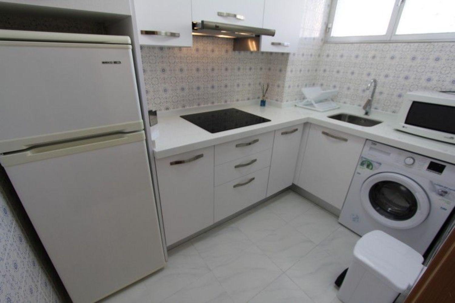 PISO  DE  CORTA TEMPORADA. 680 € /MES