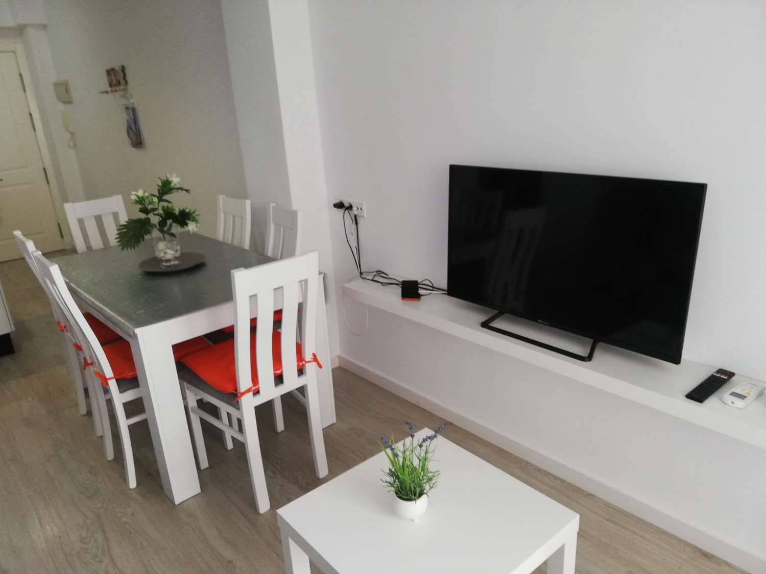 PISO DE CORTA TEMPORADA .750 € / MES