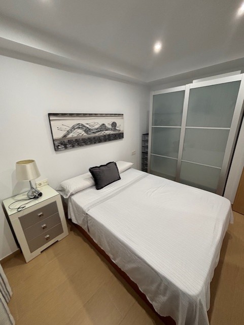 PISO RENOVADO DE CORTA TEMPORADA .PRECIO 600 € / MES
